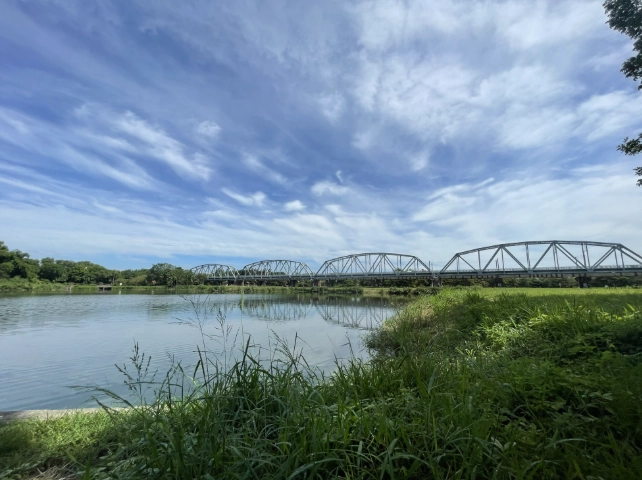 舊鐵橋濕地公園 舊鐵橋濕地公園
