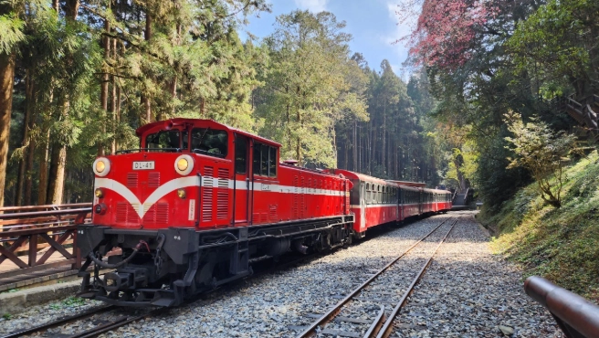 阿里山火車旅遊 阿里山火車旅遊