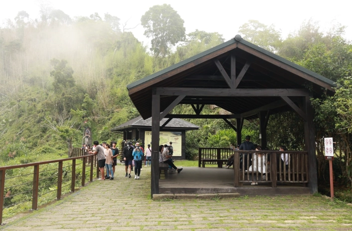 阿里山寵物住宿 阿里山寵物住宿