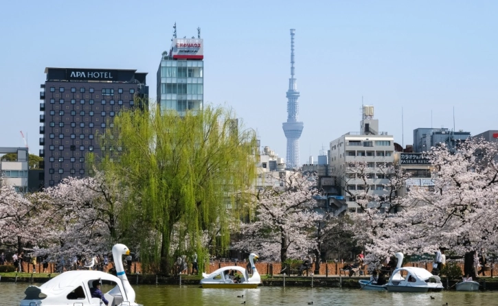 東京旅遊攻略 東京旅遊攻略