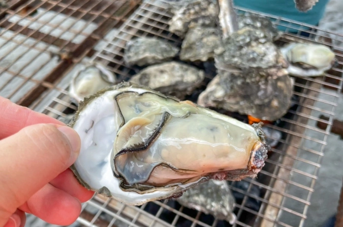 王功蚵仔推薦