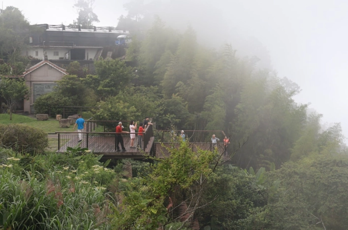阿里山帶寵物旅遊 阿里山帶寵物旅遊