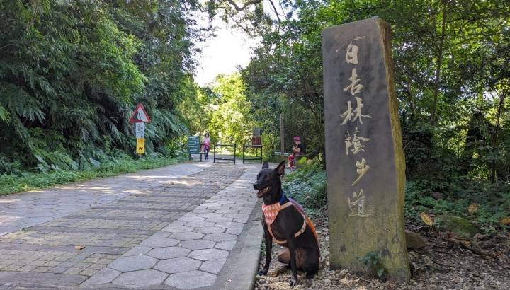 墾丁帶狗景點 墾丁帶狗景點