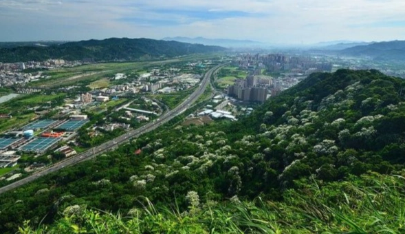 陽明山東西大縱走 陽明山東西大縱走
