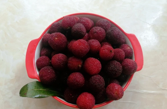 楊梅食譜