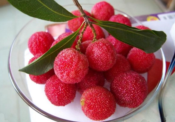 楊梅食譜