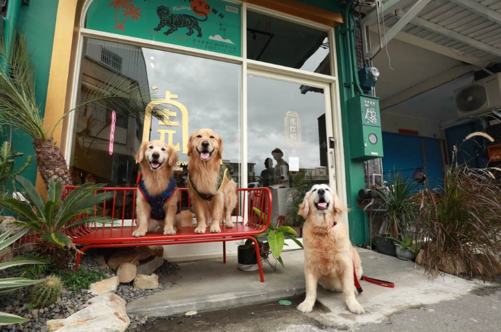 台灣寵物旅遊 台灣寵物旅遊