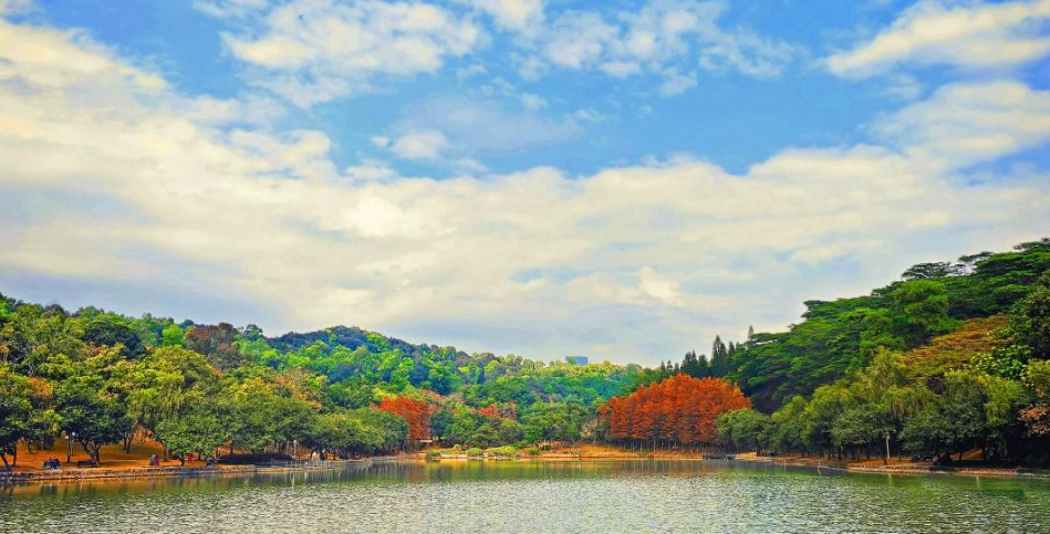 蓮花山公園健行 蓮花山公園健行