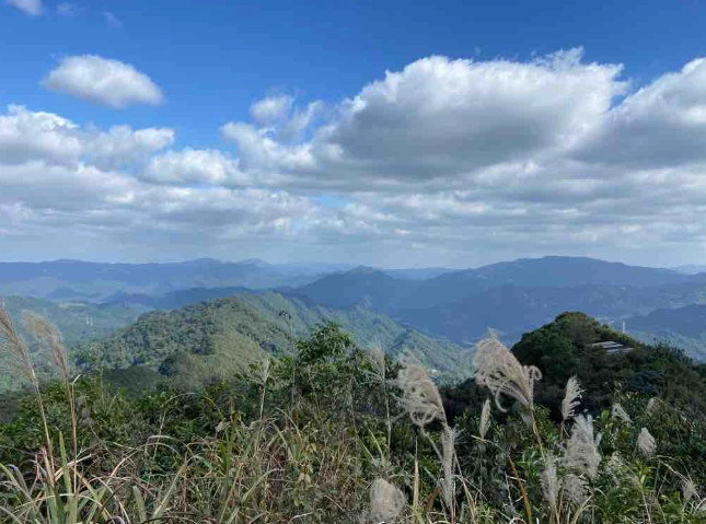 陽明山東西大縱走 陽明山東西大縱走