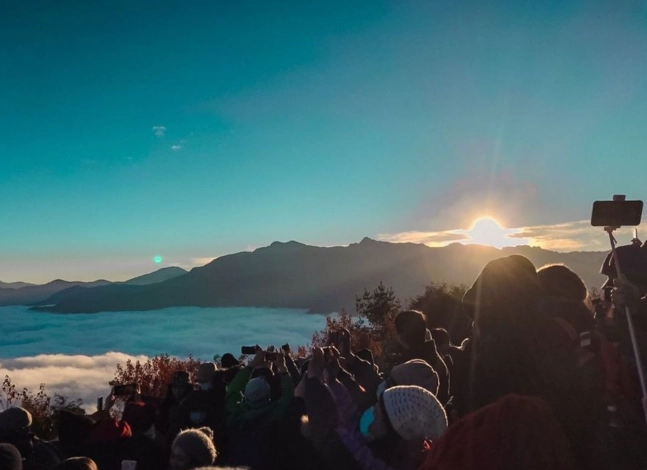 阿里山 帶狗 阿里山 帶狗