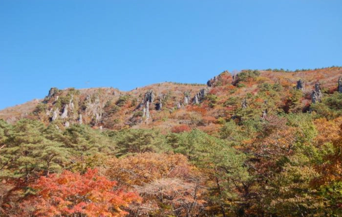 漢拿山登山 漢拿山登山