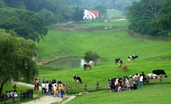 適合長輩的苗栗旅遊 適合長輩的苗栗旅遊