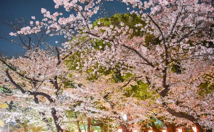 上野夜景 上野夜景