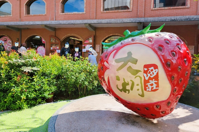 大湖採草莓 大湖採草莓