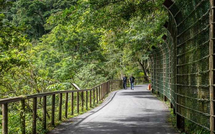 三峽老街一日遊 三峽老街一日遊
