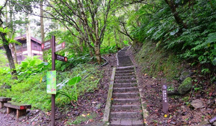 三峽親子步道 三峽親子步道