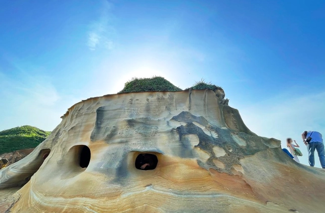 陽明山登山步道 陽明山登山步道