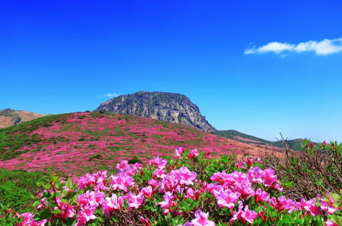 濟州島自由行 濟州島自由行
