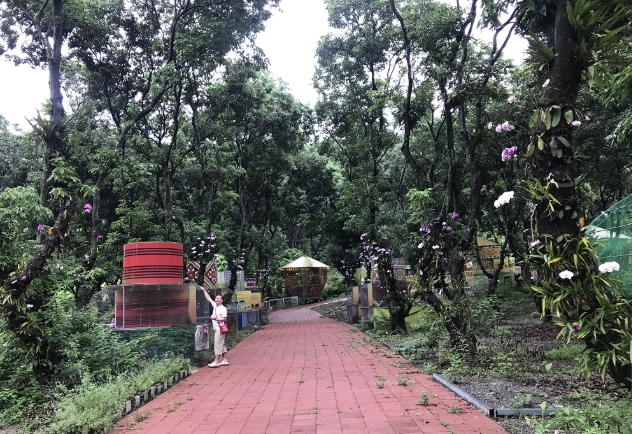 紅螞蟻生態世界 紅螞蟻生態世界