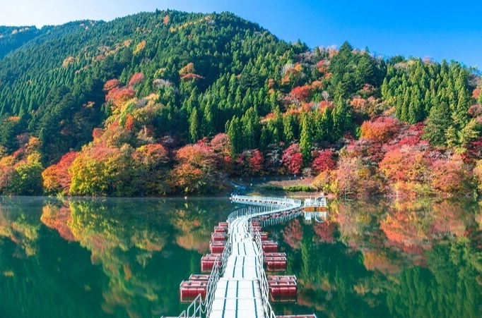 東京必去景點推薦 東京必去景點推薦