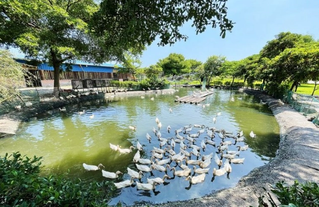 宜蘭親子農場 宜蘭親子農場