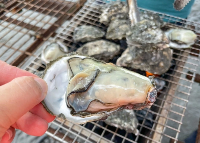王功潮汐表 王功潮汐表