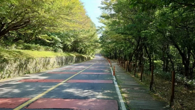 漢拿山登山 漢拿山登山