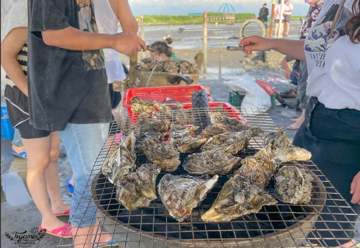 王功 挖蛤蜊 王功 挖蛤蜊