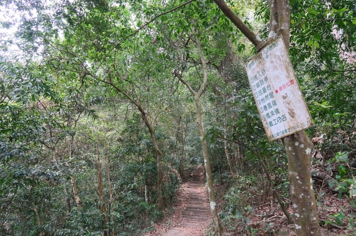 鳴鳳古道景點 鳴鳳古道景點