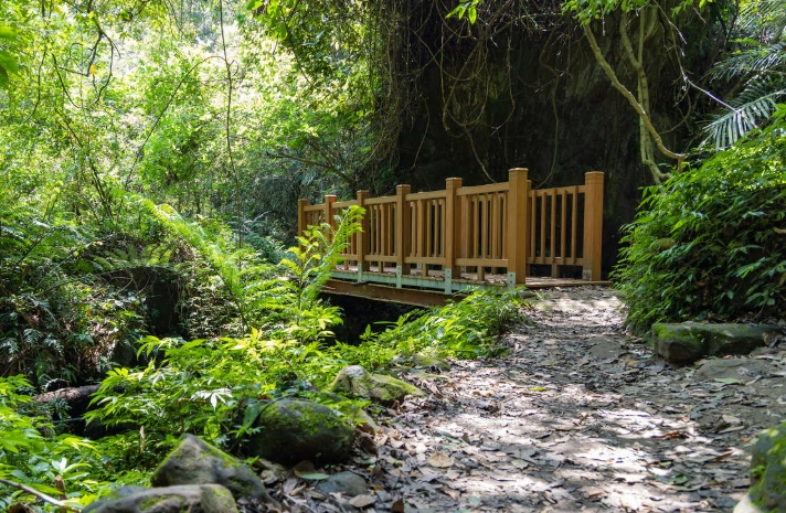 苗栗登山步道 苗栗登山步道