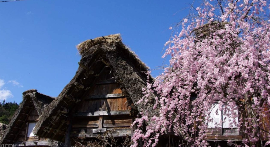 高山合掌村行程 高山合掌村行程