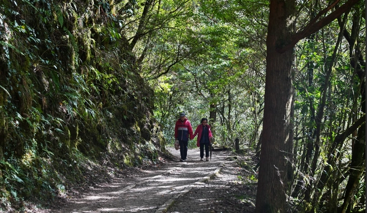 特富野古道 帶狗 特富野古道 帶狗
