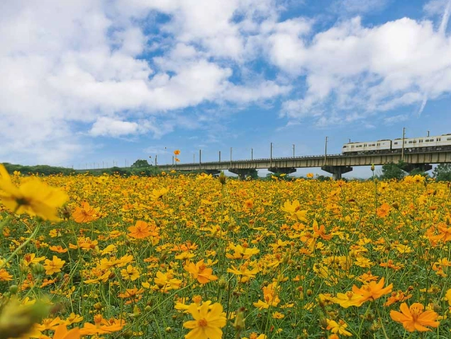 屏東舊鐵橋 交通 屏東舊鐵橋 交通