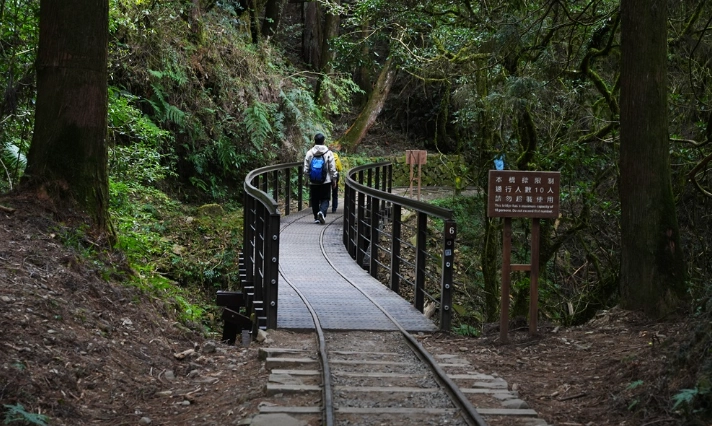 特富野古道 寵物友善 特富野古道 寵物友善