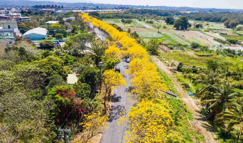 台中室內景點 台中室內景點