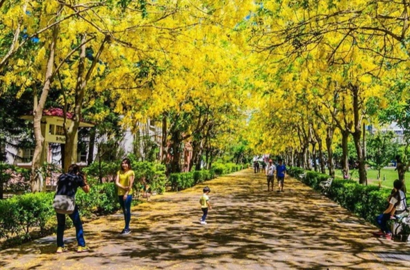 台中室內景點 台中室內景點