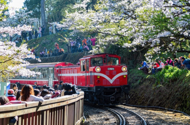 阿里山開車行程 阿里山開車行程