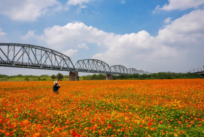 下淡水溪鐵橋 歷史 下淡水溪鐵橋 歷史