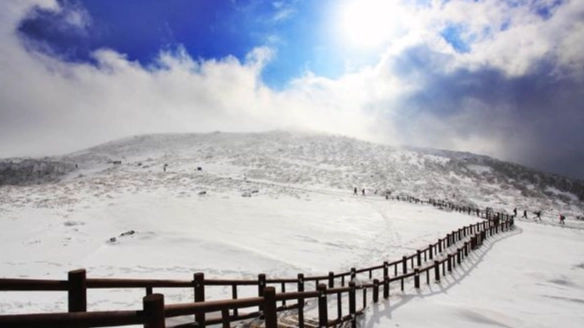 漢拿山登山路線 漢拿山登山路線