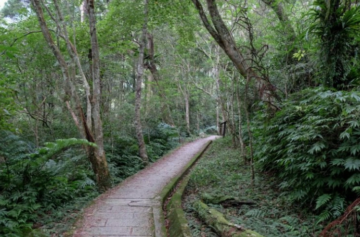 三峽健行路線 三峽健行路線