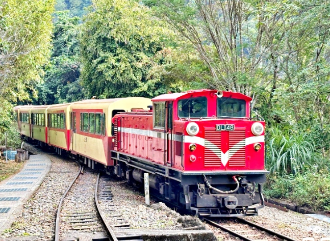 阿里山森林遊樂區開車 阿里山森林遊樂區開車