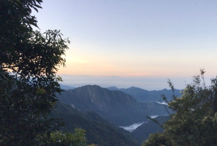 稍來山步道 稍來山步道