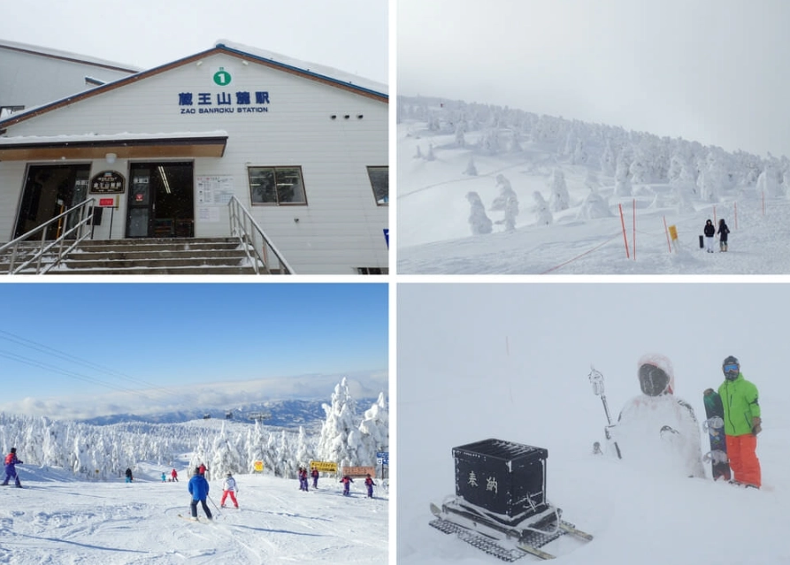 藏王滑雪場住宿 藏王滑雪場住宿